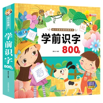 272 Страницы Грамотность Дацюань 800 Слов Ребенок от 2 до 9 лет Дошкольное Образование Китайские Детские Внеклассные Книги Головоломка